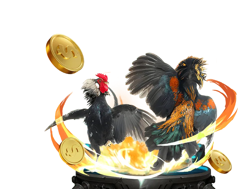 888b斗鸡平台特色